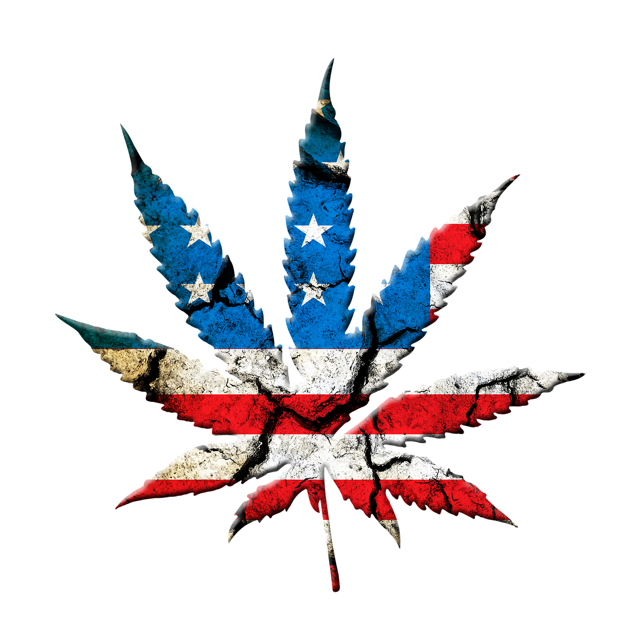 Cannabis Tourism Blooms in the United States